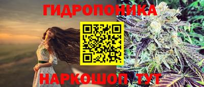 хмурый Тулун
